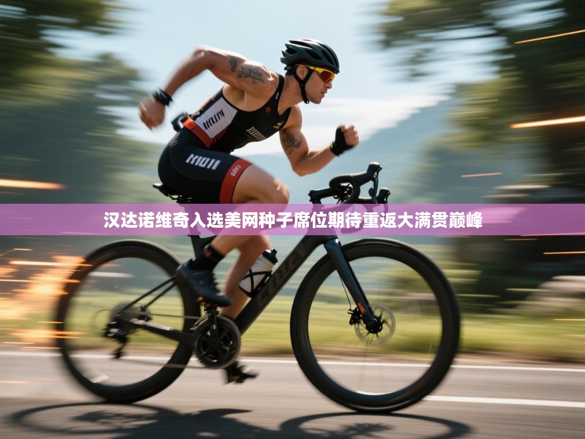 爱游戏体育下载-汉达诺维奇入选美网种子席位期待重返大满贯巅峰  第3张